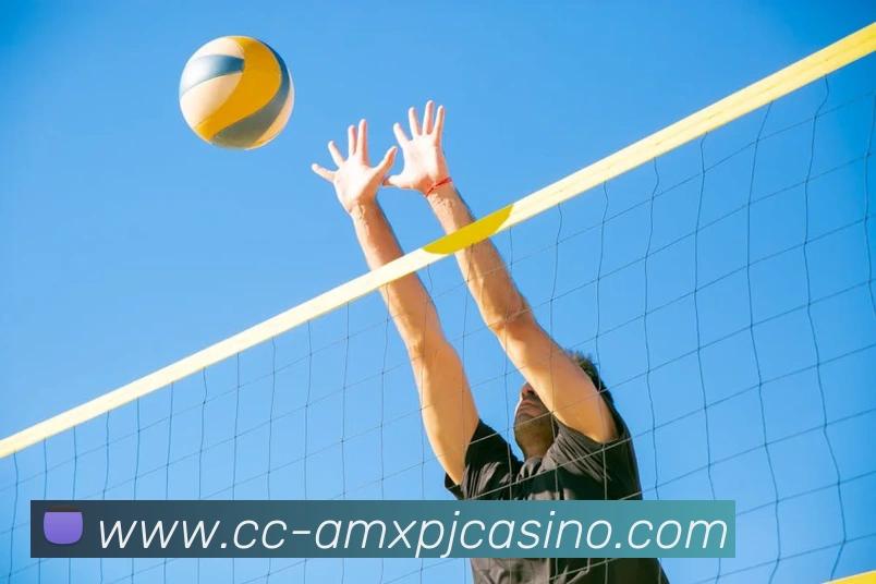 新葡京娱乐发展历程